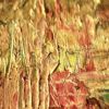 Detail_3 Haunted Forest — detail, red and gold tones