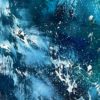 Sea Line — detail, sandy shore
