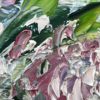 Details_1 Blooming Lilac — detail, lilac clusters