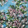 Frontal Cherry Blossom — oil on canvas