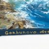 Sea Sentinel — artist's signature