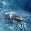 На краю — камни в бирюзовой воде и белая пена